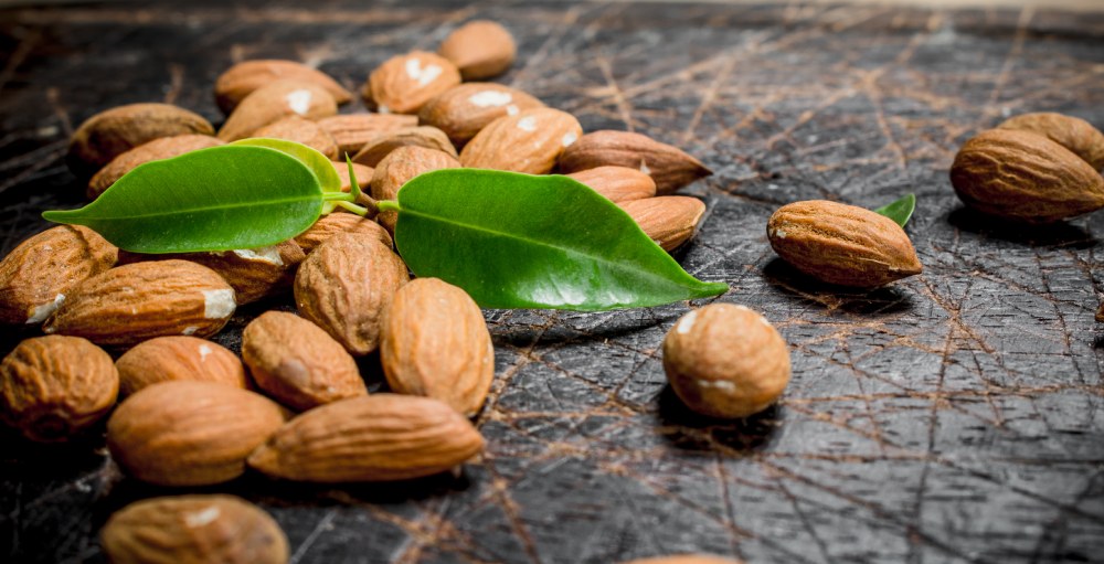 A handful of Coracao Confections organic raw almonds, rich in protein, healthy fats, and antioxidants, providing the perfect snack or versatile ingredient for baking and cooking.